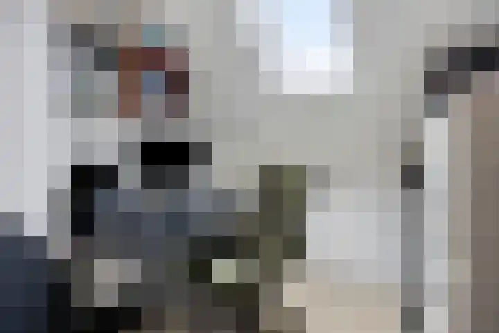 Rog 34 Hellevoetsluis thumbnail 28