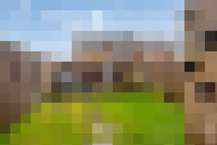 Rog 34 Hellevoetsluis thumbnail 29