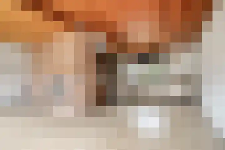 Rogakker 8 Lunteren thumbnail 12