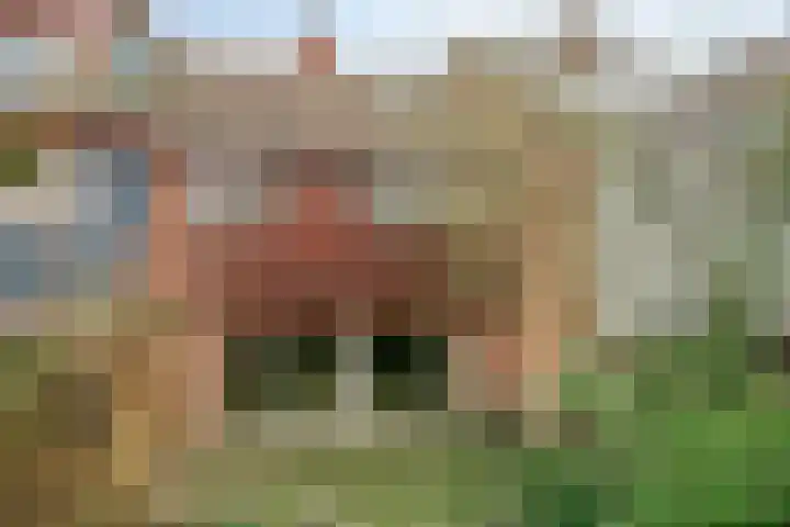 Rogakker 8 Lunteren thumbnail 29