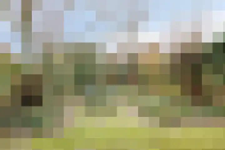 Rogakker 8 Lunteren thumbnail 31