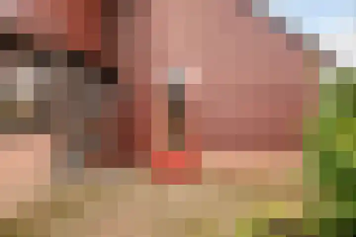 Rogakker 8 Lunteren thumbnail 5