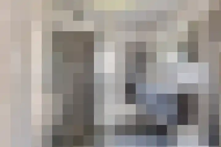 Rogge 38 Malden thumbnail 25