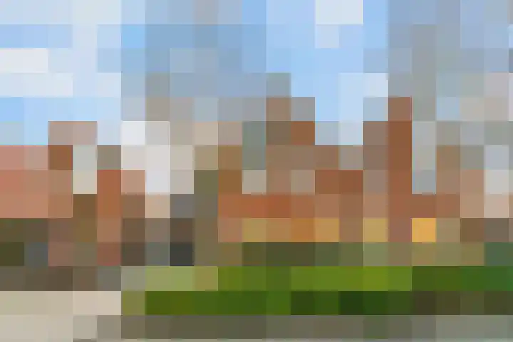Roggebot 40 Urk
