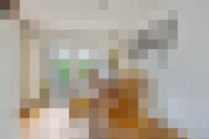 Roggehullen 22 Assen thumbnail 15