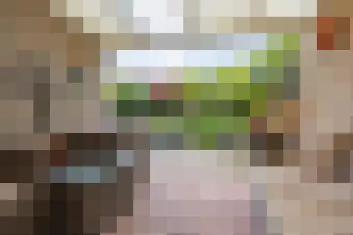 Roggehullen 22 Assen thumbnail 42