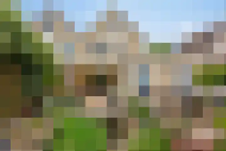 Roggehullen 22 Assen thumbnail 46