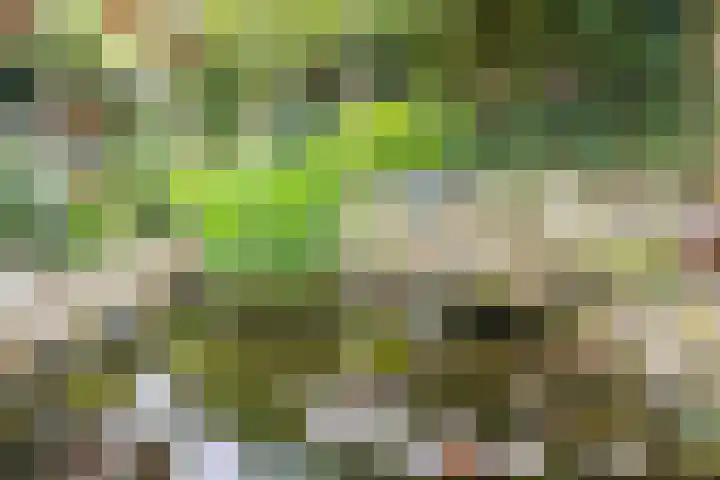 Roggehullen 22 Assen thumbnail 47