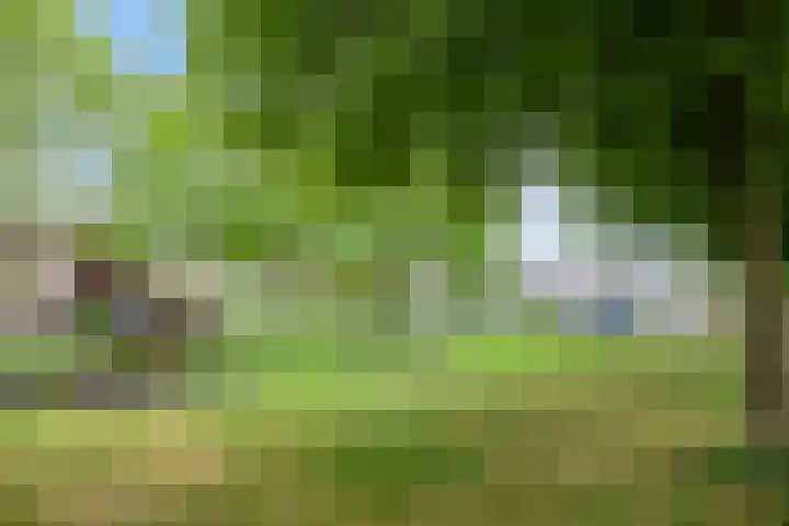 Roggehullen 22 Assen thumbnail 48