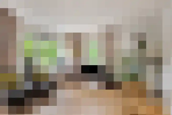 Roggehullen 22 Assen thumbnail 8