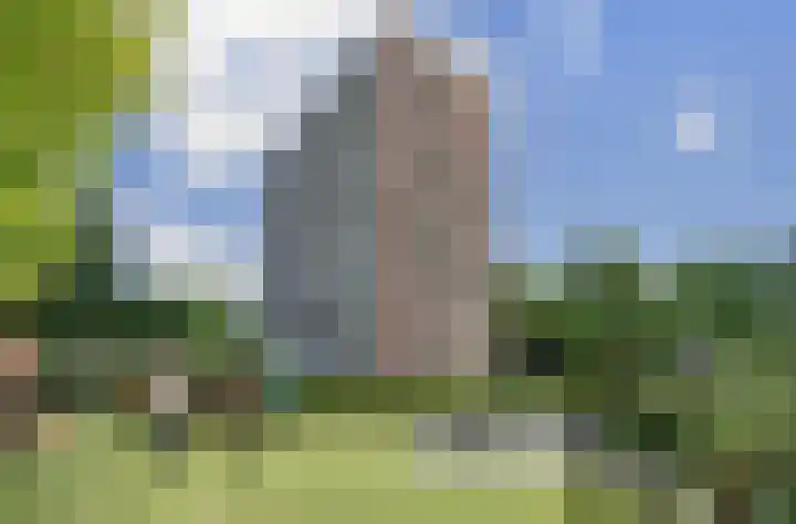 Roggekamp 325 Den Haag thumbnail 28