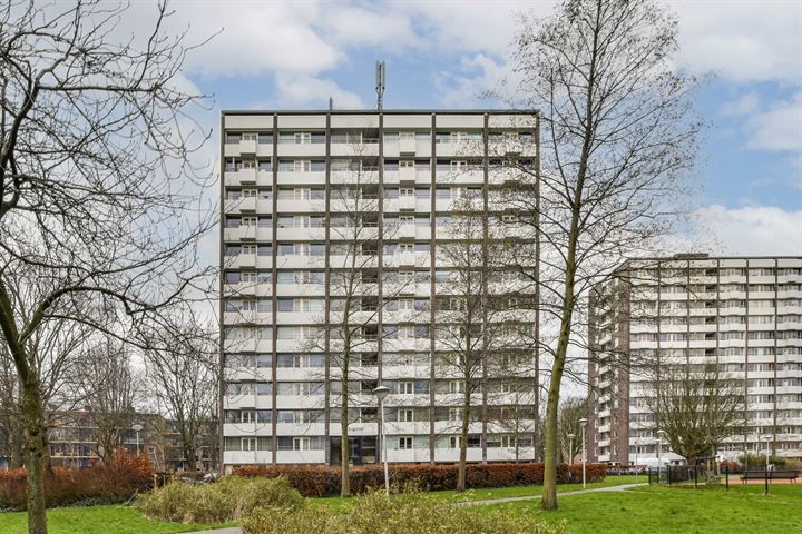 Roggekamp 355 in 's-Gravenhage foto