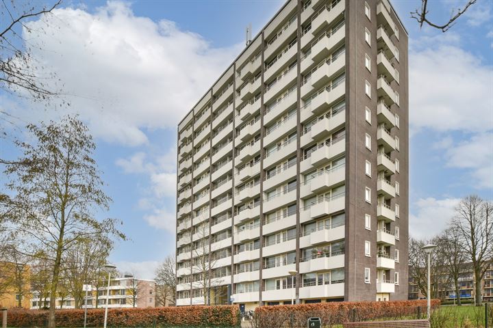 Roggekamp 425 in 's-Gravenhage foto