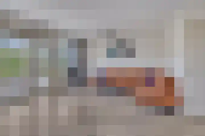 Roggekamp 537 Den Haag