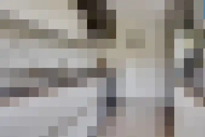 Roggeland 4 Leusden thumbnail 13