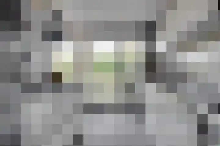Roggeland 4 Leusden thumbnail 14
