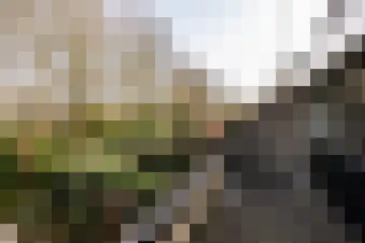 Roggeland 4 Leusden thumbnail 18