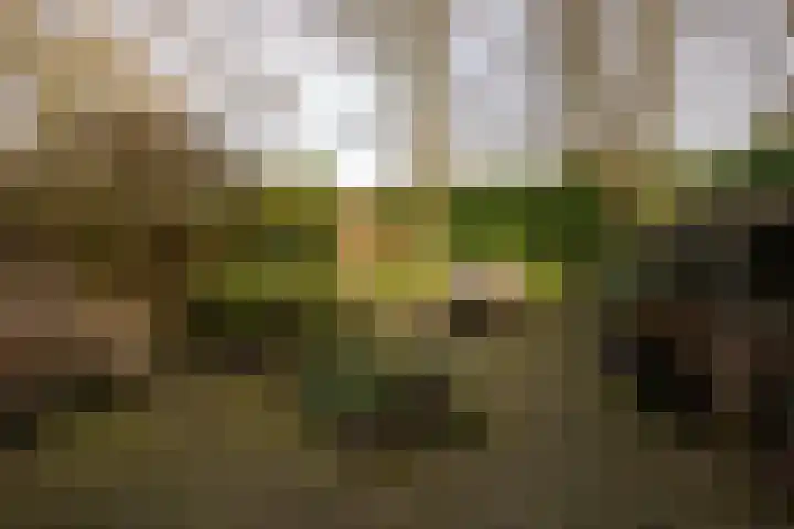 Roggeland 4 Leusden thumbnail 30