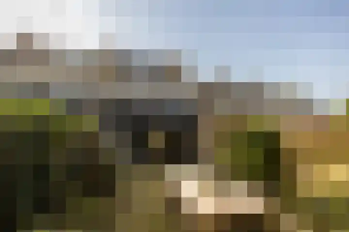 Roggeland 4 Leusden thumbnail 32