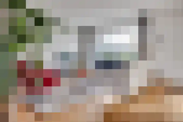 Roggeland 4 Leusden thumbnail 4