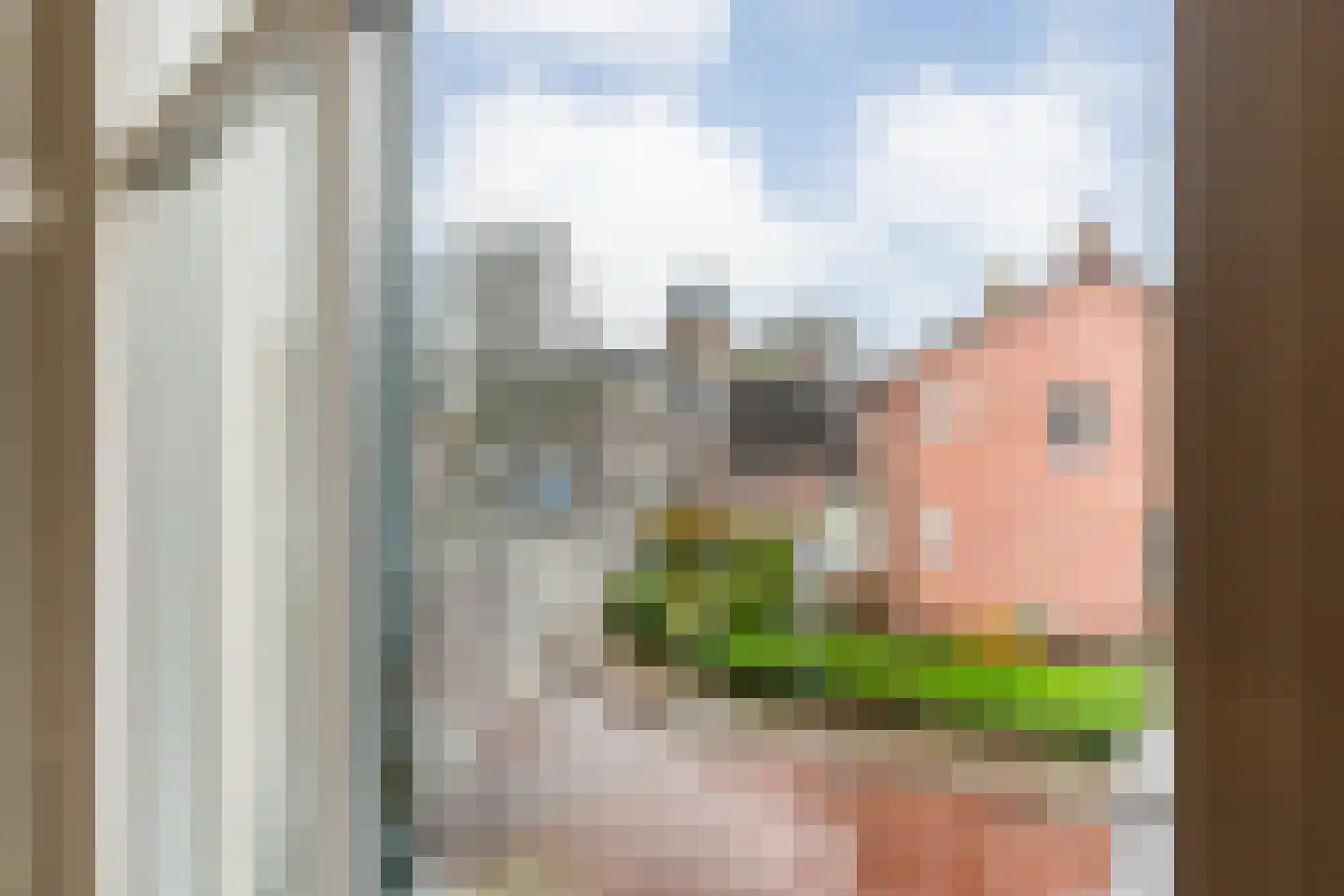 Roggestraat 2 Den Ham thumbnail 19