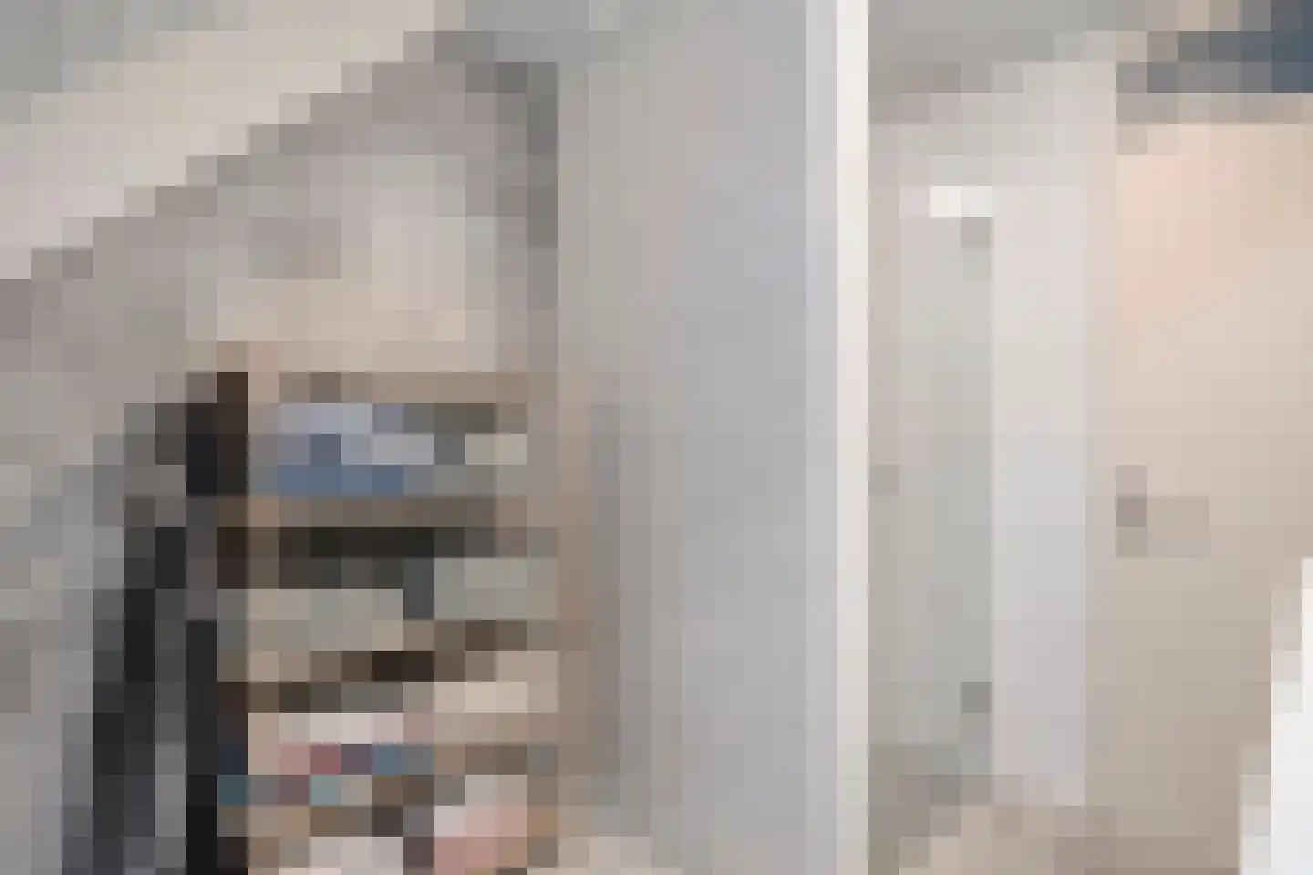 Roggestraat 2 Den Ham thumbnail 30