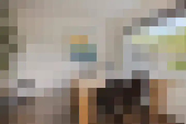 Roggestraat 2 Epe thumbnail 10