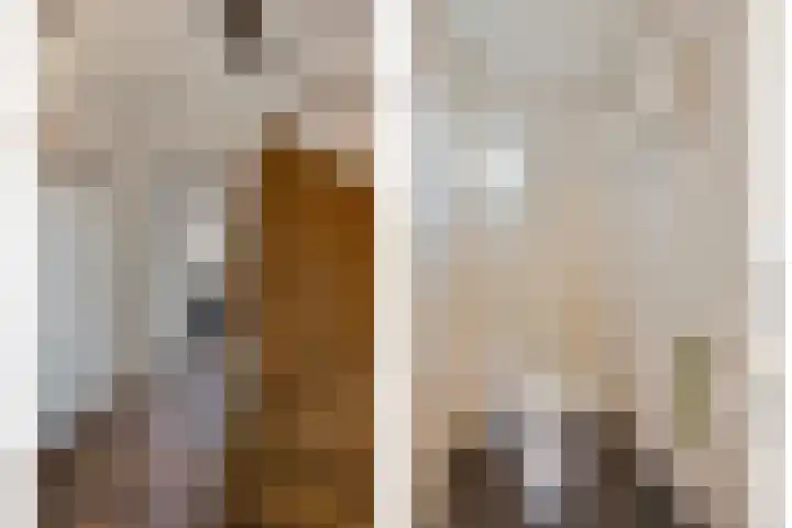 Roggestraat 2 Epe thumbnail 17