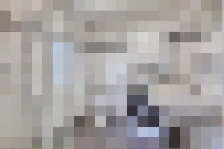 Roggestraat 2 Epe thumbnail 23