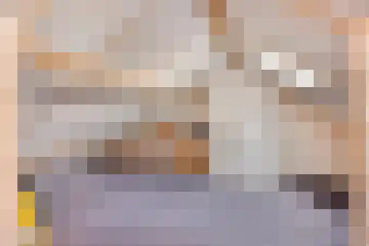 Roggestraat 2 Epe thumbnail 26