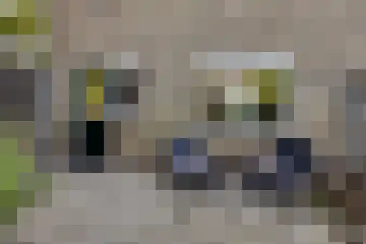Roggestraat 2 Epe thumbnail 28