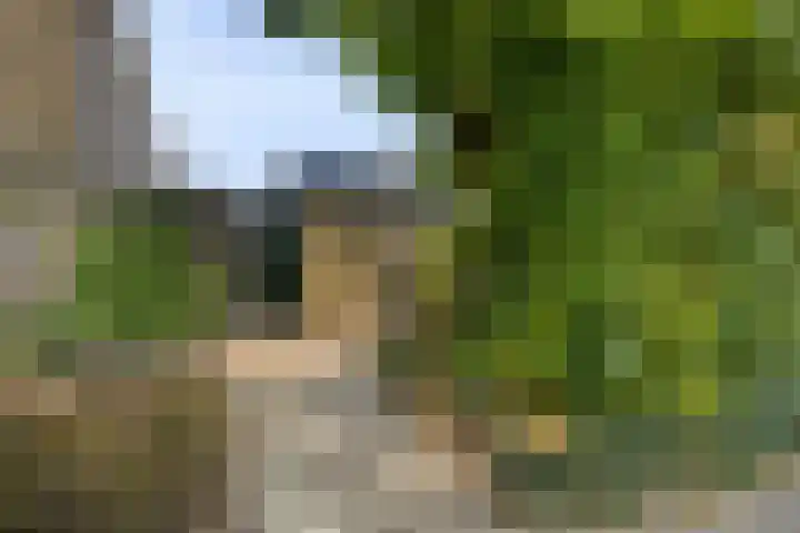 Roggestraat 2 Epe thumbnail 30