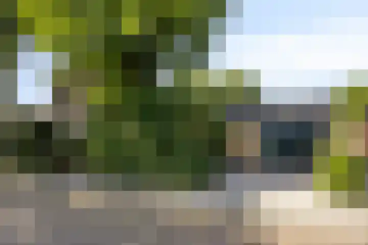 Roggestraat 2 Epe thumbnail 32