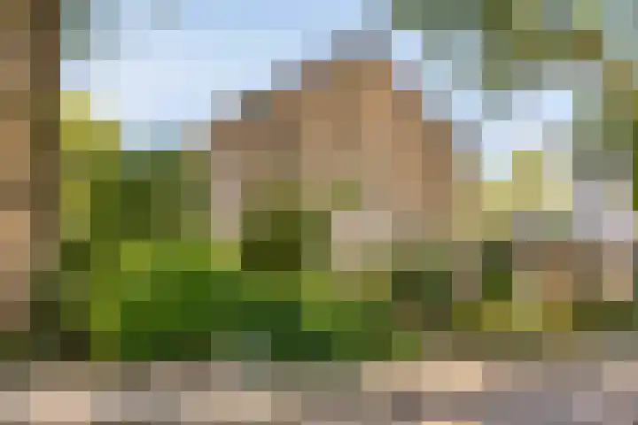 Roggestraat 2 Epe thumbnail 35