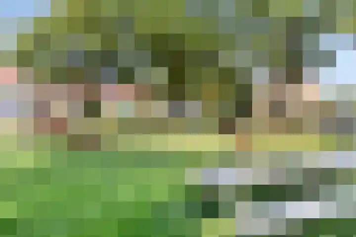 Roggestraat 2 Epe thumbnail 37