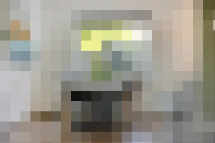 Roggestraat 2 Epe thumbnail 9
