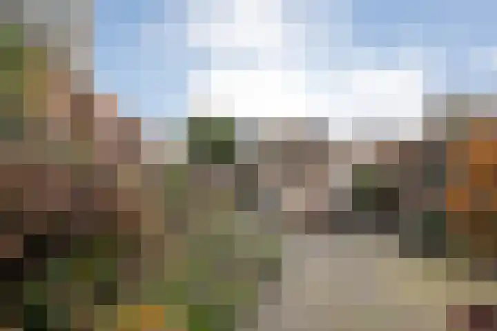 Roggestraat 35 Den Ham thumbnail 47