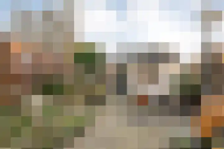Roggestraat 35 Den Ham thumbnail 49