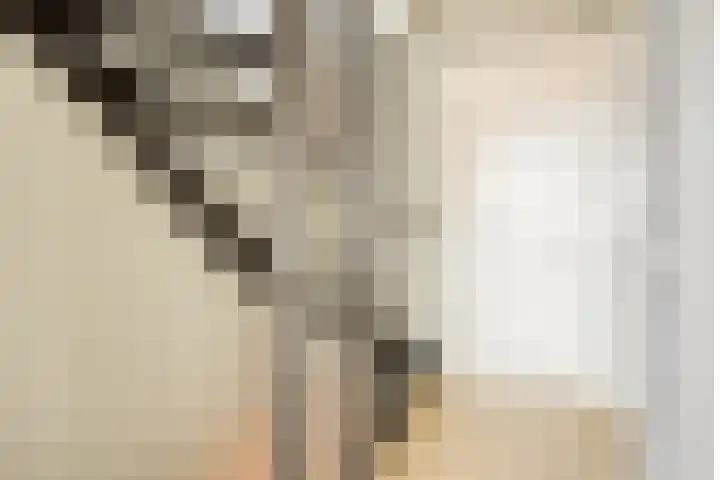 Roggestro 16 Uden thumbnail 18