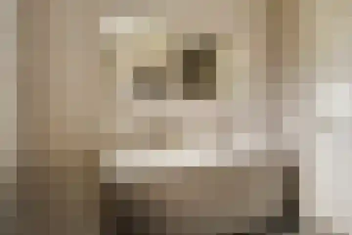 Roggestro 16 Uden thumbnail 24