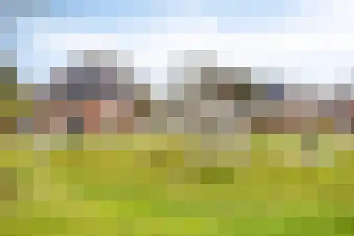 Roggestro 16 Uden thumbnail 40