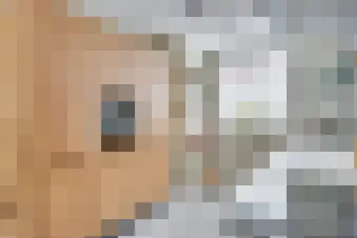 Roggestro 6 Uden thumbnail 11