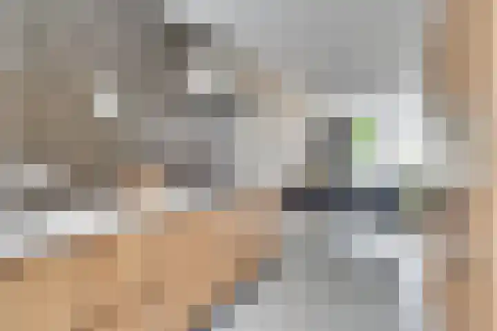 Roggestro 6 Uden thumbnail 12