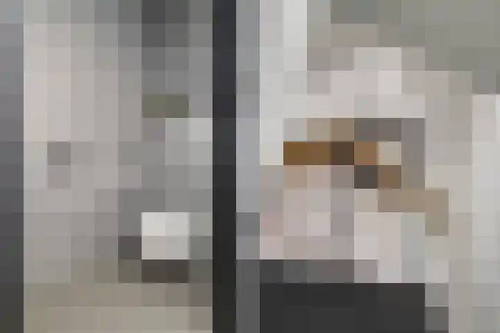 Roggeveld 15 Gilze thumbnail 11