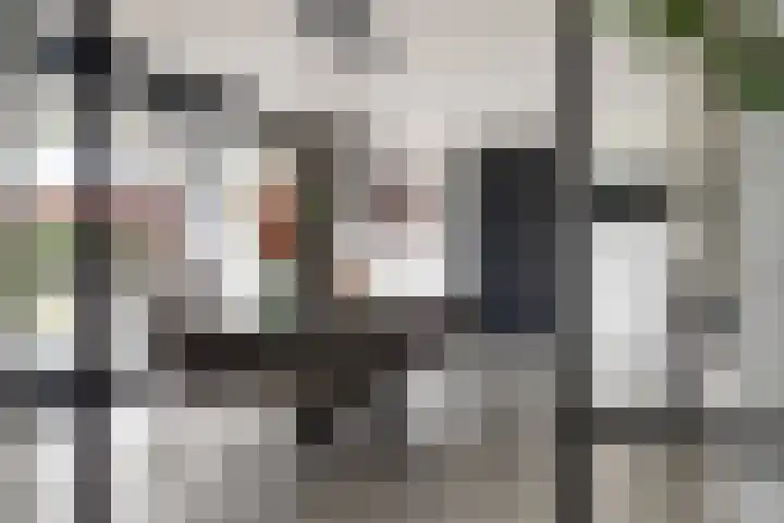Roggeveld 15 Gilze thumbnail 13