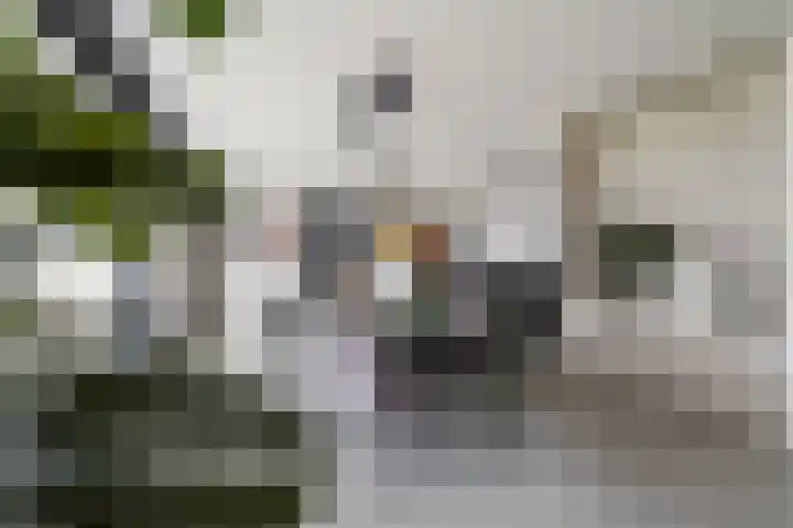 Roggeveld 15 Gilze thumbnail 14