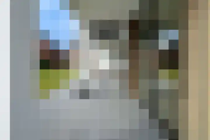 Roggeveld 15 Gilze thumbnail 35