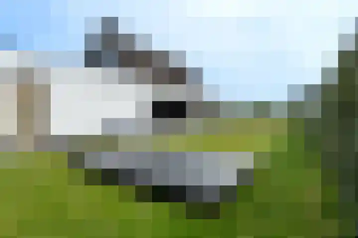 Roggeveld 15 Gilze thumbnail 40