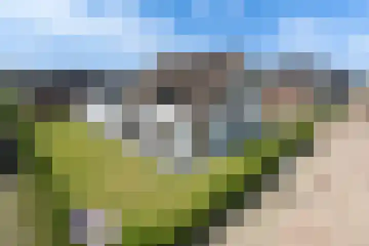 Roggeveld 15 Gilze thumbnail 42