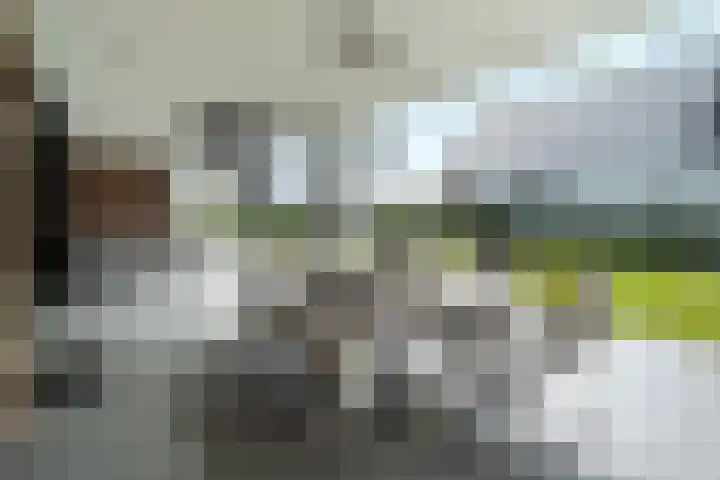Roggeveld 15 Gilze thumbnail 6